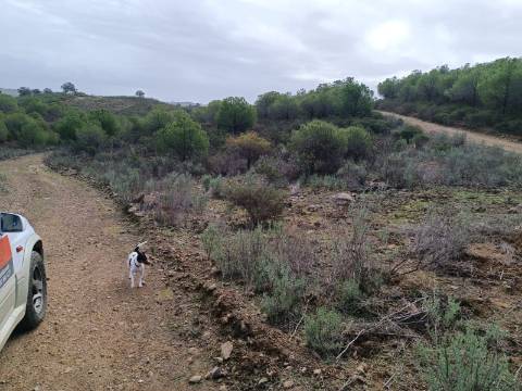 TERRENO COM 12.9 HECTARES - POSSIBILIDADE DE CONSTRUÇÃO - TURISMO - MORADIA - PALMEIRA - ALCOUTIM - ALGARVE