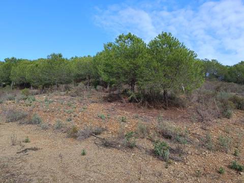 TERRENO COM 12.9 HECTARES - POSSIBILIDADE DE CONSTRUÇÃO - TURISMO - MORADIA - PALMEIRA - ALCOUTIM - ALGARVE