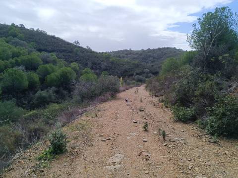 TERRENO COM 12.9 HECTARES - POSSIBILIDADE DE CONSTRUÇÃO - TURISMO - MORADIA - PALMEIRA - ALCOUTIM - ALGARVE
