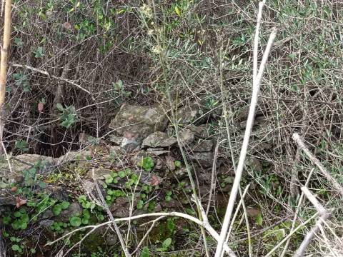 TERRENO COM 12.9 HECTARES - POSSIBILIDADE DE CONSTRUÇÃO - TURISMO - MORADIA - PALMEIRA - ALCOUTIM - ALGARVE