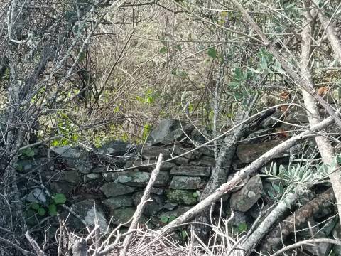 TERRENO COM 12.9 HECTARES - POSSIBILIDADE DE CONSTRUÇÃO - TURISMO - MORADIA - PALMEIRA - ALCOUTIM - ALGARVE