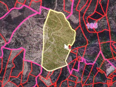 TERRENO COM 12.9 HECTARES - POSSIBILIDADE DE CONSTRUÇÃO - TURISMO - MORADIA - PALMEIRA - ALCOUTIM - ALGARVE