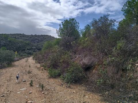 TERRENO COM 12.9 HECTARES - POSSIBILIDADE DE CONSTRUÇÃO - TURISMO - MORADIA - PALMEIRA - ALCOUTIM - ALGARVE