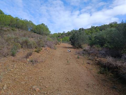 TERRENO COM 12.9 HECTARES - POSSIBILIDADE DE CONSTRUÇÃO - TURISMO - MORADIA - PALMEIRA - ALCOUTIM - ALGARVE