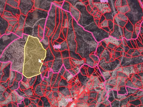 TERRENO COM 12.9 HECTARES - POSSIBILIDADE DE CONSTRUÇÃO - TURISMO - MORADIA - PALMEIRA - ALCOUTIM - ALGARVE