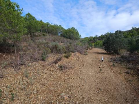 TERRENO COM 12.9 HECTARES - POSSIBILIDADE DE CONSTRUÇÃO - TURISMO - MORADIA - PALMEIRA - ALCOUTIM - ALGARVE