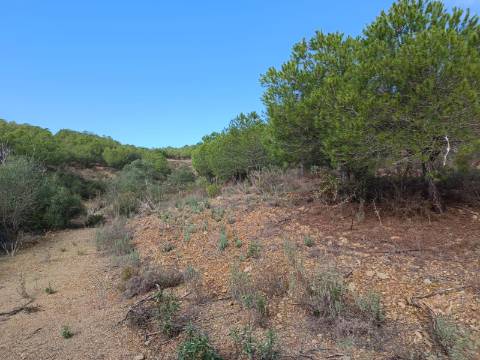 TERRENO COM 12.9 HECTARES - POSSIBILIDADE DE CONSTRUÇÃO - TURISMO - MORADIA - PALMEIRA - ALCOUTIM - ALGARVE