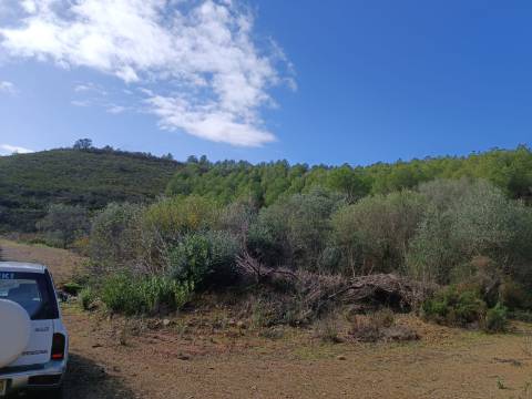 TERRENO COM 12.9 HECTARES - POSSIBILIDADE DE CONSTRUÇÃO - TURISMO - MORADIA - PALMEIRA - ALCOUTIM - ALGARVE