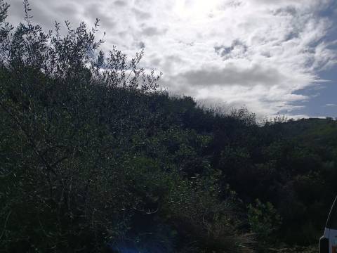 TERRENO COM 12.9 HECTARES - POSSIBILIDADE DE CONSTRUÇÃO - TURISMO - MORADIA - PALMEIRA - ALCOUTIM - ALGARVE