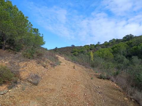 TERRENO COM 12.9 HECTARES - POSSIBILIDADE DE CONSTRUÇÃO - TURISMO - MORADIA - PALMEIRA - ALCOUTIM - ALGARVE