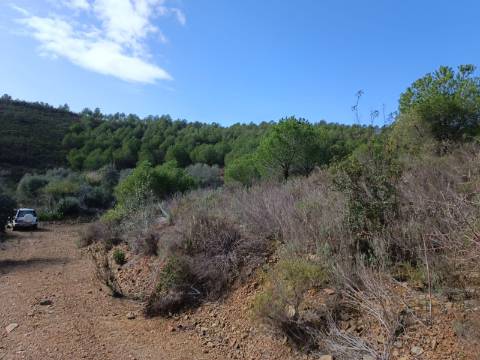 TERRENO COM 12.9 HECTARES - POSSIBILIDADE DE CONSTRUÇÃO - TURISMO - MORADIA - PALMEIRA - ALCOUTIM - ALGARVE
