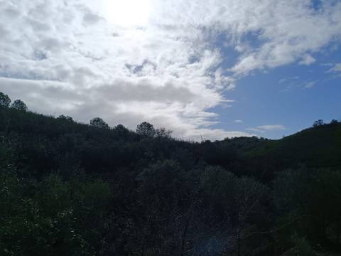 TERRENO COM 12.9 HECTARES - POSSIBILIDADE DE CONSTRUÇÃO - TURISMO - MORADIA - PALMEIRA - ALCOUTIM - ALGARVE