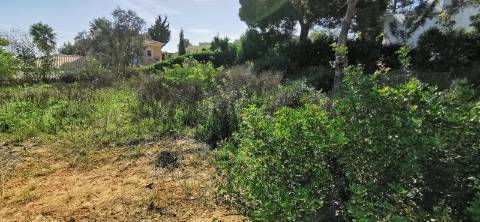 Terreno Urbano para construção de moradia.