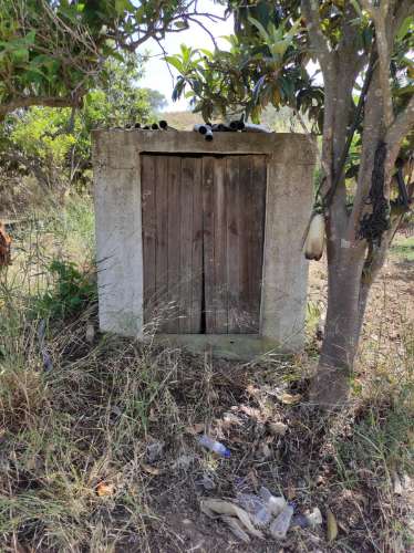 TERRENO COM 4.880 M2 - HORTA - COM ÁGUA DE REGA E NORA - RIO SECO - CASTRO MARIM - ALGARVE