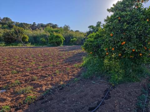 TERRENO COM 4.880 M2 - HORTA - COM ÁGUA DE REGA E NORA - RIO SECO - CASTRO MARIM - ALGARVE