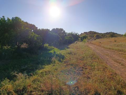 TERRENO COM 4.880 M2 - HORTA - COM ÁGUA DE REGA E NORA - RIO SECO - CASTRO MARIM - ALGARVE