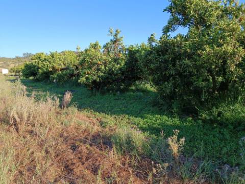 TERRENO COM 4.880 M2 - HORTA - COM ÁGUA DE REGA E NORA - RIO SECO - CASTRO MARIM - ALGARVE