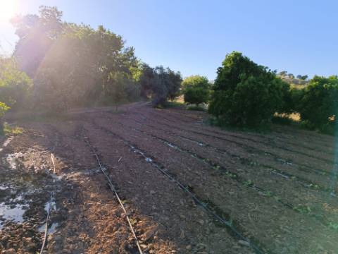 TERRENO COM 4.880 M2 - HORTA - COM ÁGUA DE REGA E NORA - RIO SECO - CASTRO MARIM - ALGARVE
