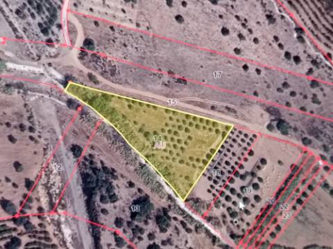 TERRENO COM 4.880 M2 - HORTA - COM ÁGUA DE REGA E NORA - RIO SECO - CASTRO MARIM - ALGARVE