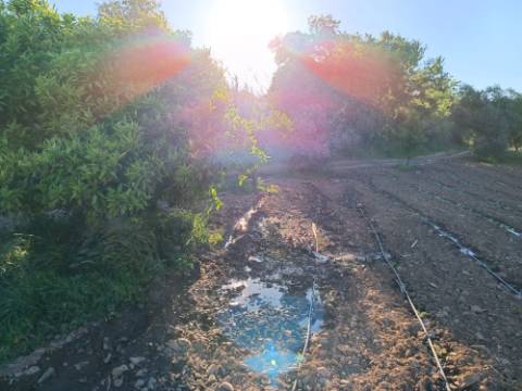 TERRENO COM 4.880 M2 - HORTA - COM ÁGUA DE REGA E NORA - RIO SECO - CASTRO MARIM - ALGARVE