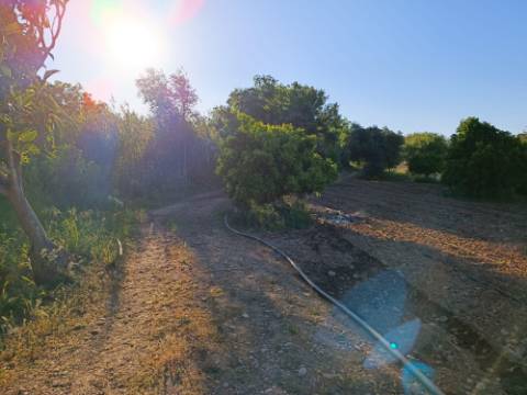 TERRENO COM 4.880 M2 - HORTA - COM ÁGUA DE REGA E NORA - RIO SECO - CASTRO MARIM - ALGARVE