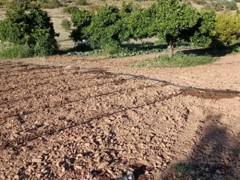 TERRENO COM 4.880 M2 - HORTA - COM ÁGUA DE REGA E NORA - RIO SECO - CASTRO MARIM - ALGARVE
