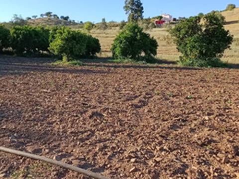 TERRENO COM 4.880 M2 - HORTA - COM ÁGUA DE REGA E NORA - RIO SECO - CASTRO MARIM - ALGARVE