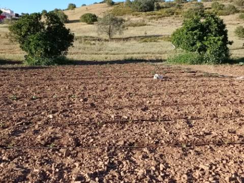 TERRENO COM 4.880 M2 - HORTA - COM ÁGUA DE REGA E NORA - RIO SECO - CASTRO MARIM - ALGARVE
