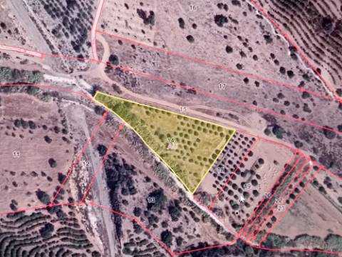 TERRENO COM 4.880 M2 - HORTA - COM ÁGUA DE REGA E NORA - RIO SECO - CASTRO MARIM - ALGARVE