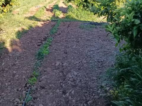 TERRENO COM 4.880 M2 - HORTA - COM ÁGUA DE REGA E NORA - RIO SECO - CASTRO MARIM - ALGARVE