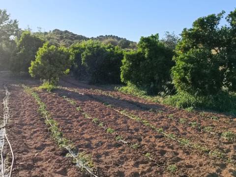 TERRENO COM 4.880 M2 - HORTA - COM ÁGUA DE REGA E NORA - RIO SECO - CASTRO MARIM - ALGARVE