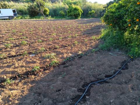 TERRENO COM 4.880 M2 - HORTA - COM ÁGUA DE REGA E NORA - RIO SECO - CASTRO MARIM - ALGARVE