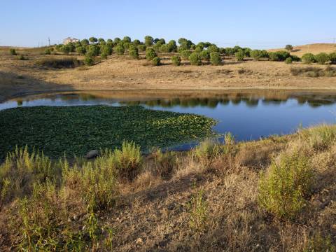 TERRENO COM 53.520 M2 - VISTA MAR - COM LAGO - POSSIBILIDADE DE CONSTRUIR - CAMPEIROS - CASTRO MARIM - ALGARVE