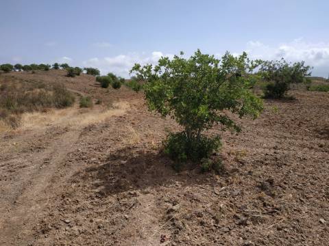 TERRENO COM 53.520 M2 - VISTA MAR - COM LAGO - POSSIBILIDADE DE CONSTRUIR - CAMPEIROS - CASTRO MARIM - ALGARVE