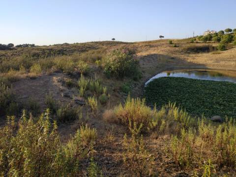 TERRENO COM 53.520 M2 - VISTA MAR - COM LAGO - POSSIBILIDADE DE CONSTRUIR - CAMPEIROS - CASTRO MARIM - ALGARVE
