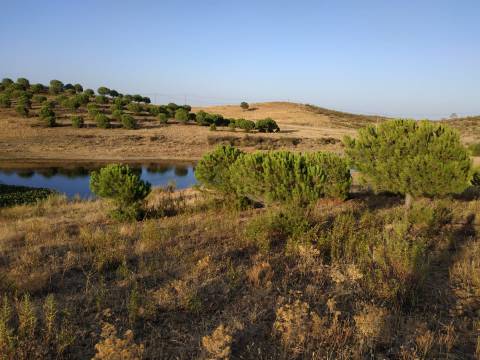 TERRENO COM 53.520 M2 - VISTA MAR - COM LAGO - POSSIBILIDADE DE CONSTRUIR - CAMPEIROS - CASTRO MARIM - ALGARVE