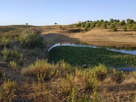 TERRENO COM 53.520 M2 - VISTA MAR - COM LAGO - POSSIBILIDADE DE CONSTRUIR - CAMPEIROS - CASTRO MARIM - ALGARVE