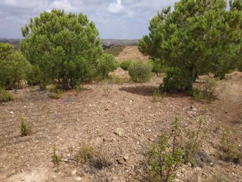 TERRENO COM 53.520 M2 - VISTA MAR - COM LAGO - POSSIBILIDADE DE CONSTRUIR - CAMPEIROS - CASTRO MARIM - ALGARVE