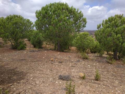 TERRENO COM 53.520 M2 - VISTA MAR - COM LAGO - POSSIBILIDADE DE CONSTRUIR - CAMPEIROS - CASTRO MARIM - ALGARVE