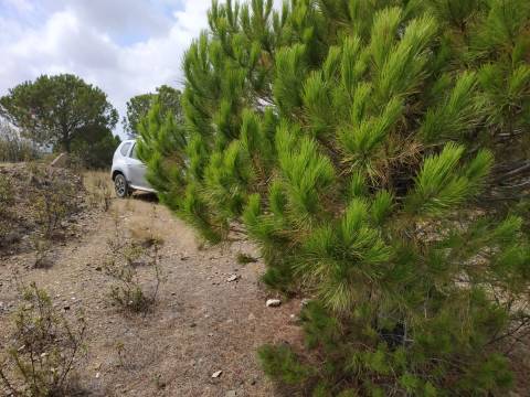 TERRENO COM 53.520 M2 - VISTA MAR - COM LAGO - POSSIBILIDADE DE CONSTRUIR - CAMPEIROS - CASTRO MARIM - ALGARVE