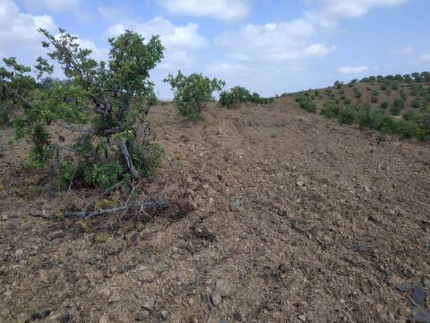 TERRENO COM 53.520 M2 - VISTA MAR - COM LAGO - POSSIBILIDADE DE CONSTRUIR - CAMPEIROS - CASTRO MARIM - ALGARVE