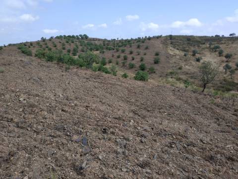 TERRENO COM 53.520 M2 - VISTA MAR - COM LAGO - POSSIBILIDADE DE CONSTRUIR - CAMPEIROS - CASTRO MARIM - ALGARVE