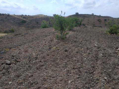 TERRENO COM 53.520 M2 - VISTA MAR - COM LAGO - POSSIBILIDADE DE CONSTRUIR - CAMPEIROS - CASTRO MARIM - ALGARVE