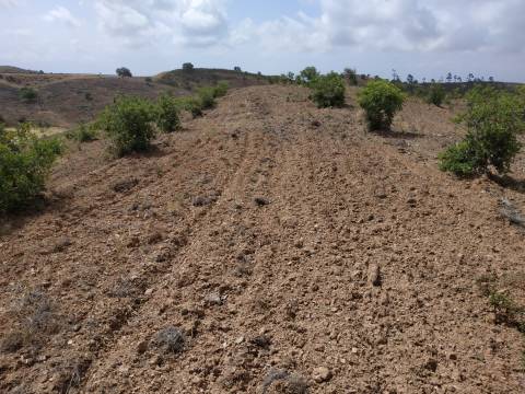 TERRENO COM 53.520 M2 - VISTA MAR - COM LAGO - POSSIBILIDADE DE CONSTRUIR - CAMPEIROS - CASTRO MARIM - ALGARVE