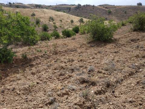 TERRENO COM 53.520 M2 - VISTA MAR - COM LAGO - POSSIBILIDADE DE CONSTRUIR - CAMPEIROS - CASTRO MARIM - ALGARVE