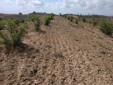 TERRENO COM 53.520 M2 - VISTA MAR - COM LAGO - POSSIBILIDADE DE CONSTRUIR - CAMPEIROS - CASTRO MARIM - ALGARVE