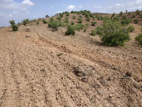 TERRENO COM 53.520 M2 - VISTA MAR - COM LAGO - POSSIBILIDADE DE CONSTRUIR - CAMPEIROS - CASTRO MARIM - ALGARVE