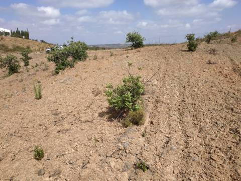 TERRENO COM 53.520 M2 - VISTA MAR - COM LAGO - POSSIBILIDADE DE CONSTRUIR - CAMPEIROS - CASTRO MARIM - ALGARVE