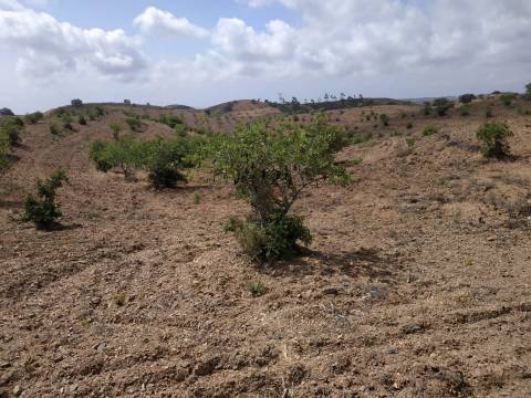 TERRENO COM 53.520 M2 - VISTA MAR - COM LAGO - POSSIBILIDADE DE CONSTRUIR - CAMPEIROS - CASTRO MARIM - ALGARVE