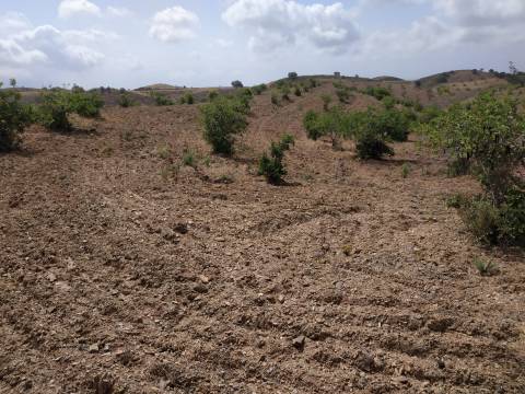 TERRENO COM 53.520 M2 - VISTA MAR - COM LAGO - POSSIBILIDADE DE CONSTRUIR - CAMPEIROS - CASTRO MARIM - ALGARVE